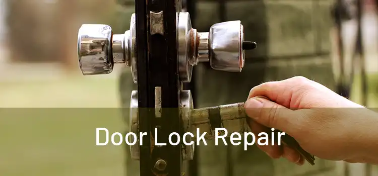 Door Lock Repair